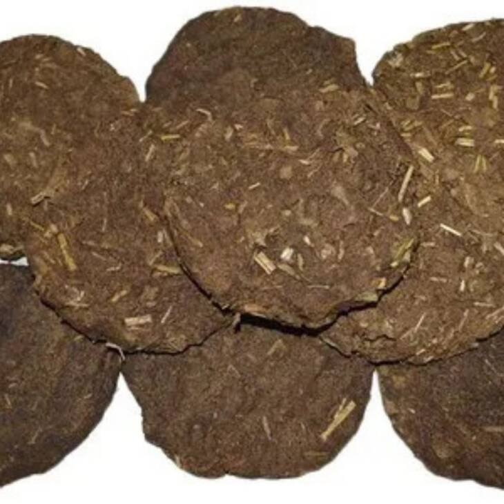 Cow Dung Cakes
