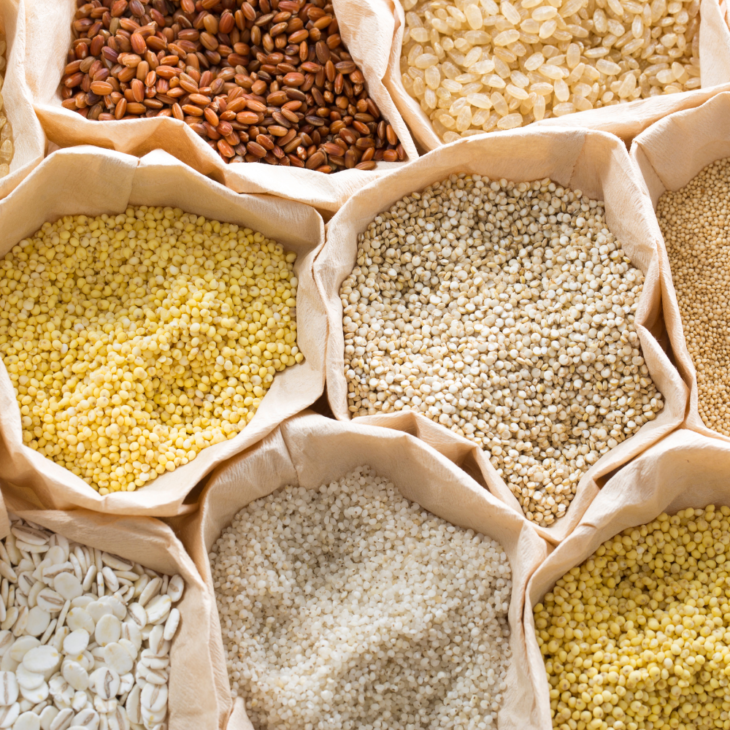 Millet and Millet Varieties