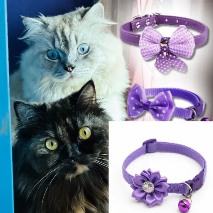 Cat Neck Belt