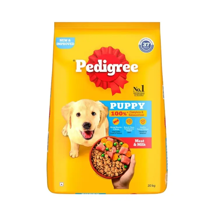 Dog Pedigree